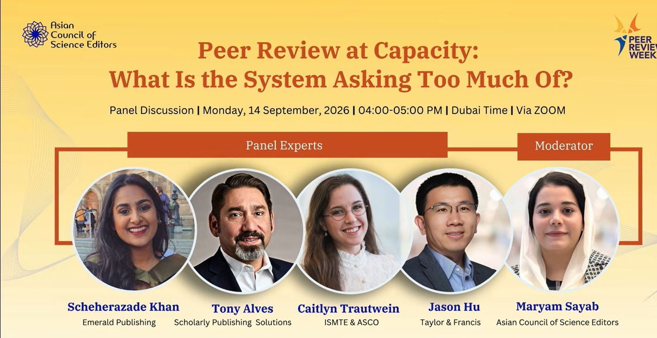 Peer Review at Capacity: What Is the System Asking Too Much Of?